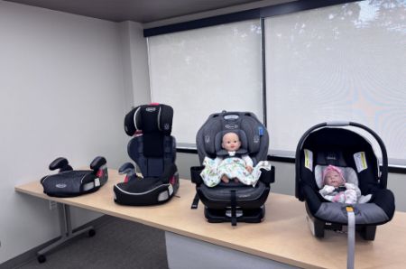 Picture for category Car Seat Safety